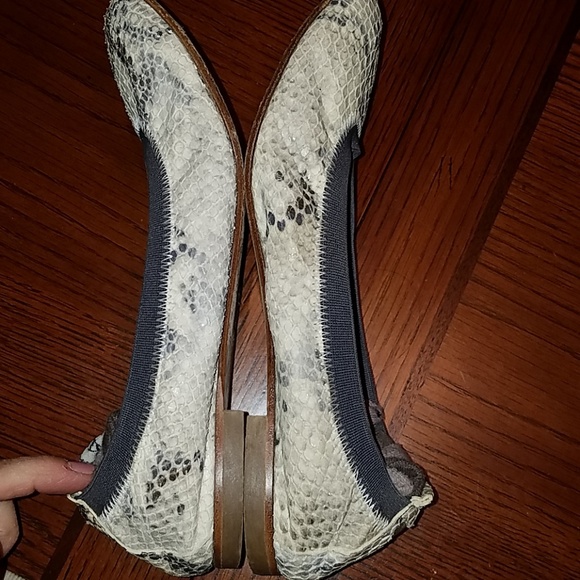 Ferca 81 Shoes Ferca 8 Italian Designer Ballet Flat